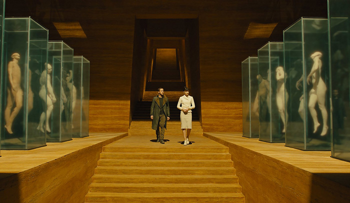    2049, .   :  ,     : 2  : 20