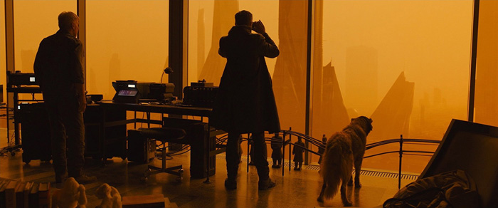    2049, .    : 2  : 20