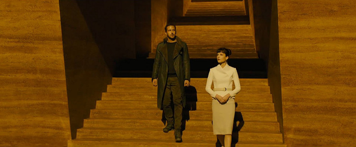    2049, .   :  ,     : 2  : 20