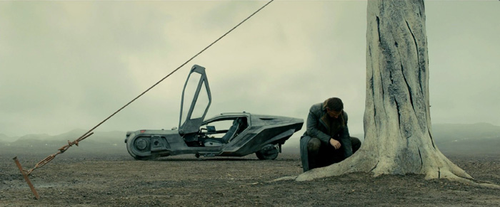    2049, .    : 2  : 20