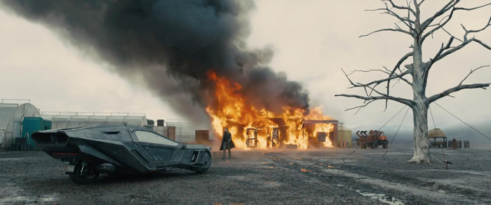    2049, .    : 2  : 20