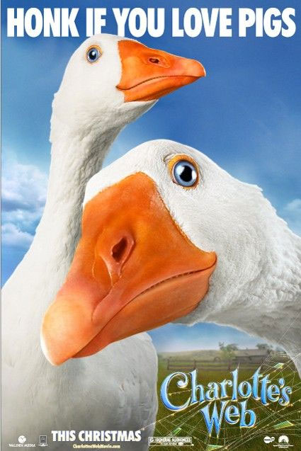  , .   : 6