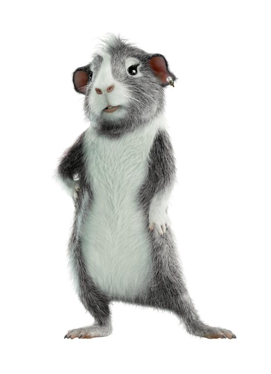  , .    : 6  : 8