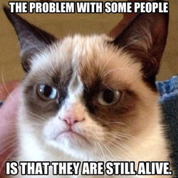 Grumpy Cat